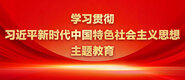 爱骚逼视频网站学习贯彻习近平新时代中国特色社会主义思想主题教育_fororder_ad-371X160(2)